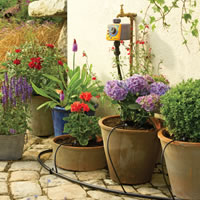 automatic watering kits during a hosepipe ban