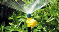 Garden Tools