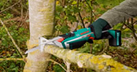Bosch Ciso Battery Secateurs