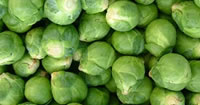 Brussels Sprouts Seeds