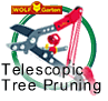 Tree Pruning