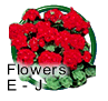 Geranium Seeds