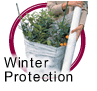 Winter Protection
