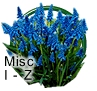 Spring Bulbs I to Z