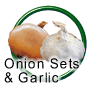 Onion Sets
