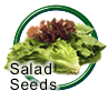 Salad Seeds