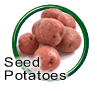 Seed Potatoes