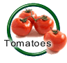 Tomato Seeds