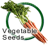 Vegetable Seeds