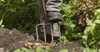Elements Range Garden Tools