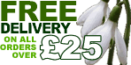 free uk delivery
