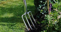 Garden Forks