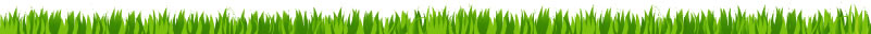 Grass
