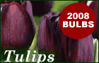 www.garden4less.co.uk