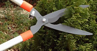 Hedge Shears