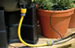 Hosepipe Ban