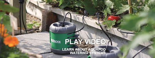 Hozelock Aqua Pod Garden Watering Systems Hozelock Aqua Pod Watering Systems