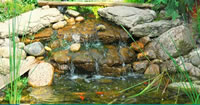 Hozelock Aquaforce Pond Pumps