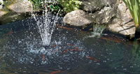 Hozelock Easyclear Pond Pumps