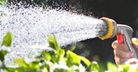 Spray Guns