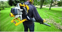 Leaf Blowers and Vacuums