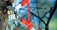 Wolf Garden Tree loppers