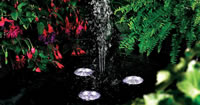Pond Lights