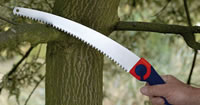 Pruning Saw