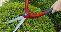 Razorsharp Cutting Tools