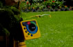 Watering at night saves water