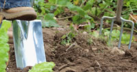 Wilkinson Sword Garden Tools