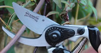 Secateurs