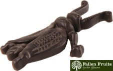 Beetle Boot Jack By Fallen Fruits