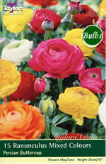 Ranunculus - Mixed Bulb