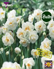 Narcissi Bridal Crown Bulbs - Blooming Value Narcissi Range