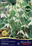 Snowdrop Galanthus Nivalis Bulbs - Blooming Value Miscellaneous Range