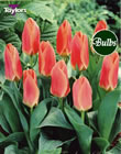 Dreamboat - Greigii Tulip Bulbs
