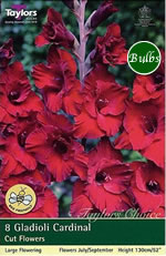 Cardinal Gladioli Bulbs