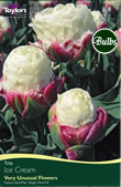 Ice Cream Tulip Bulbs