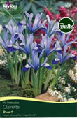 Clairette - Iris Bulb