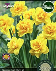 Jack The Lad Narcissi Bulbs - Select Premium Variety
