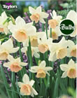 Narcissi Katie Heath Bulbs - Blooming Value Narcissi Range