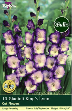 Kings Lynn Gladioli Bulbs