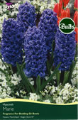 Marie Hyacinth Bedding Bulbs