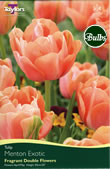 Menton Exotic Tulip Bulbs