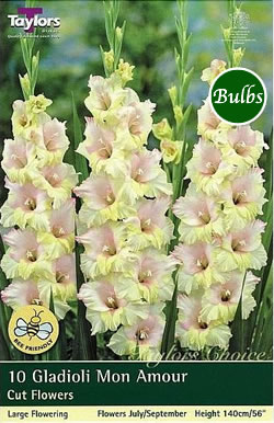 Mon Amour Gladioli Bulbs