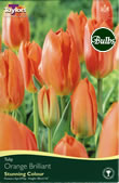 Orange Brilliant Tulip Bulbs