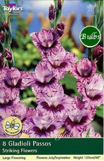 Passos Gladioli Bulbs