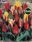 Peacock Mix Tulip Bulbs