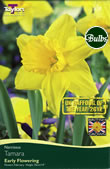 Tamara - Bulk Daffodil Bulb Bags 2kg